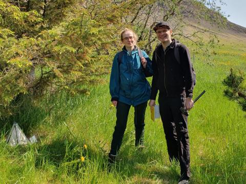Klakgildrur voru notaðar til að reyna að finna uppeldisstöðvar lúsmýs. Nína Guðrún Baldursdóttir og Rafn Sigurðsson við gildru sem sett var upp á Neðra-Hálsi í Kjós.